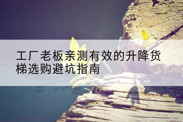 庆阳升降货梯怎么选-工厂老板亲测有效的升降货梯选购避坑指南