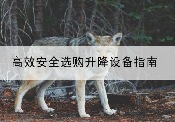 庆阳升降货梯厂家推荐-*安全选购升降设备指南