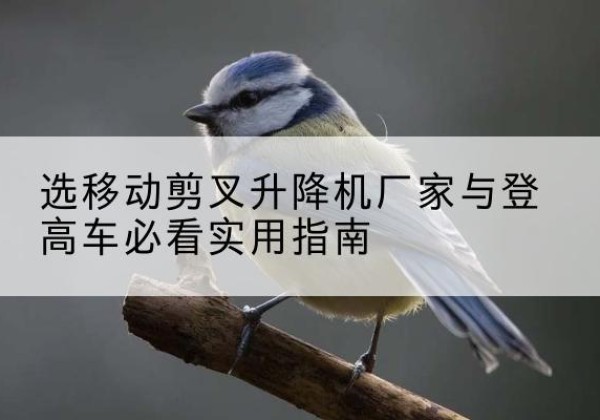 庆阳电动升降机厂家-选移动剪叉升降机厂家与登高车必看实用指南