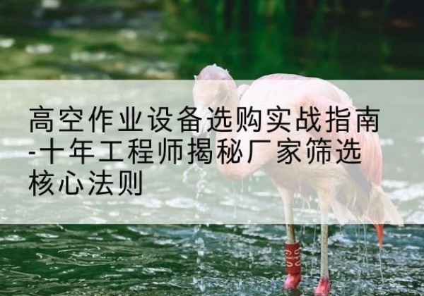 庆阳剪叉式升降机厂家-高空作业设备选购实战指南-十年工程师揭秘厂家筛选核心法则