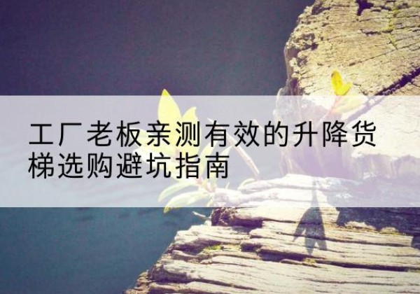 庆阳升降货梯怎么选-工厂老板亲测有效的升降货梯选购避坑指南